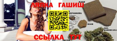 гашик Краснодар