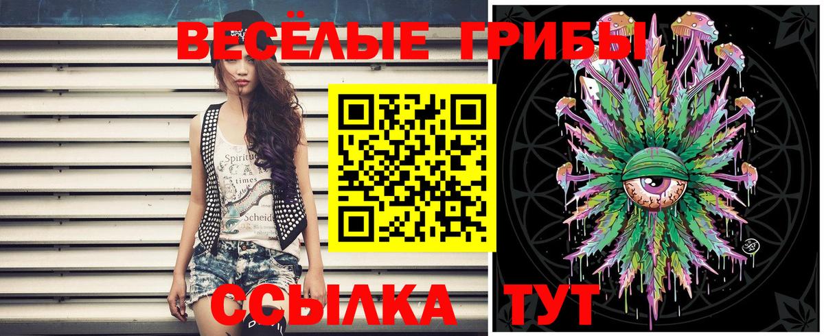 Псилоцибиновые грибы мицелий Нерюнгри